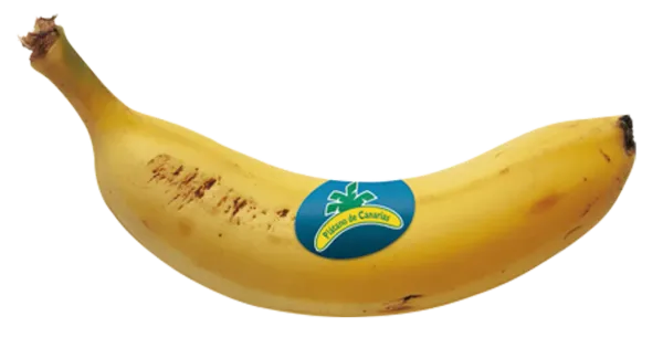 Plátano de Canarias
