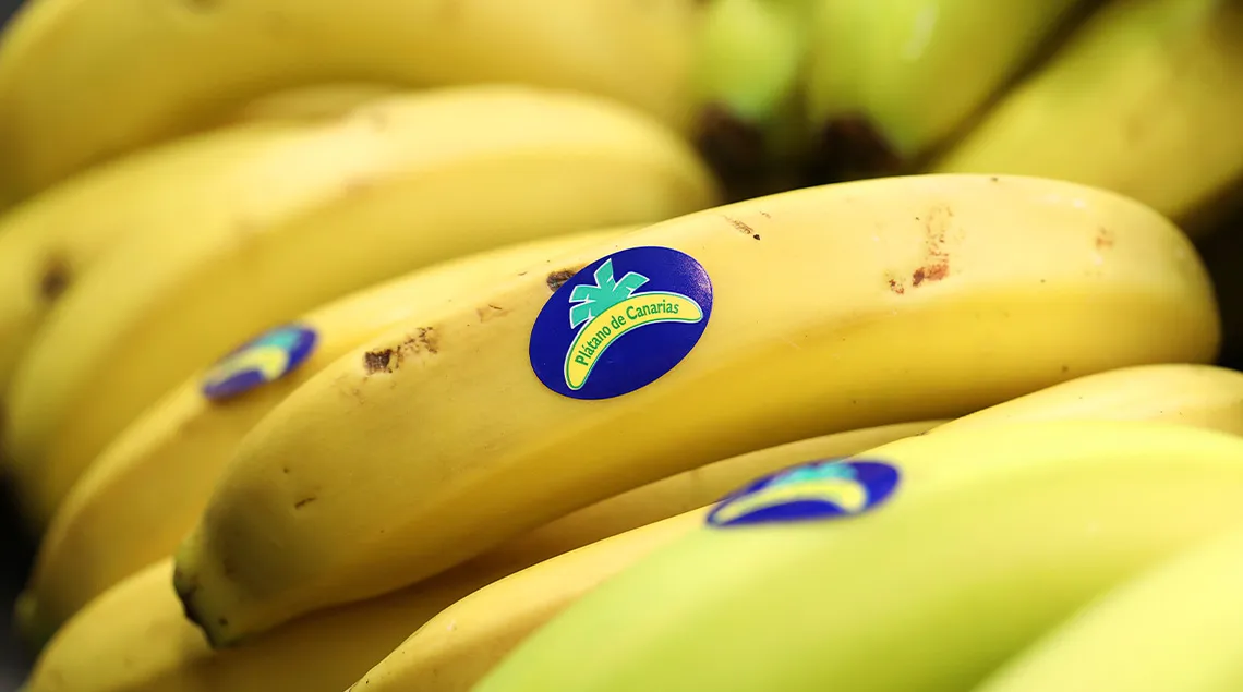 50 años de Plátano de Canarias: la historia de una marca que nació para sobrevivir y se convirtió en una de las más queridas de España